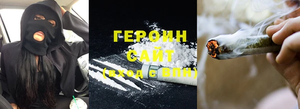 индика Заводоуковск