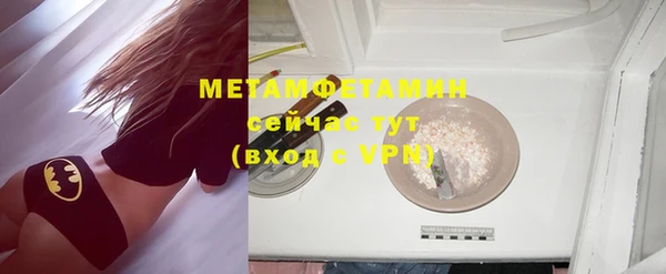 индика Заводоуковск