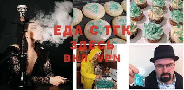 индика Заводоуковск