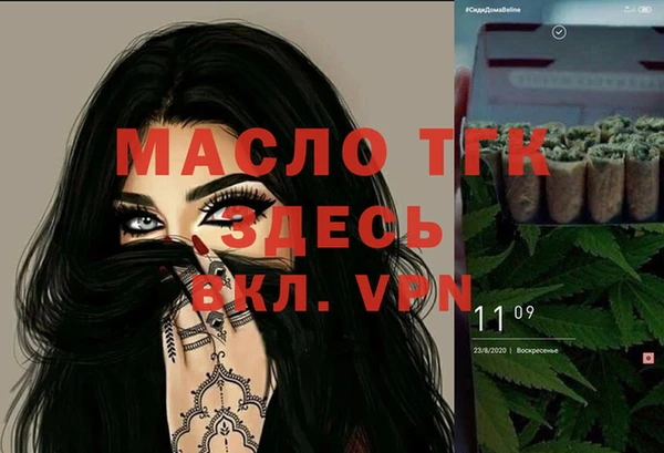 индика Заводоуковск